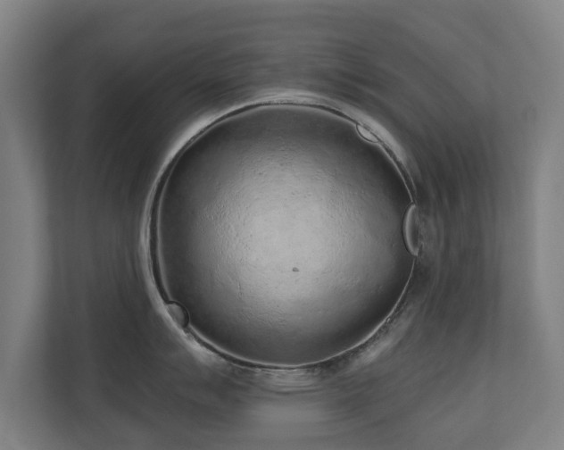 X0000110941007200906191227