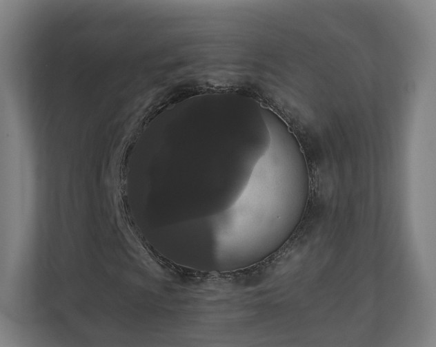 X0000110941009200906191226