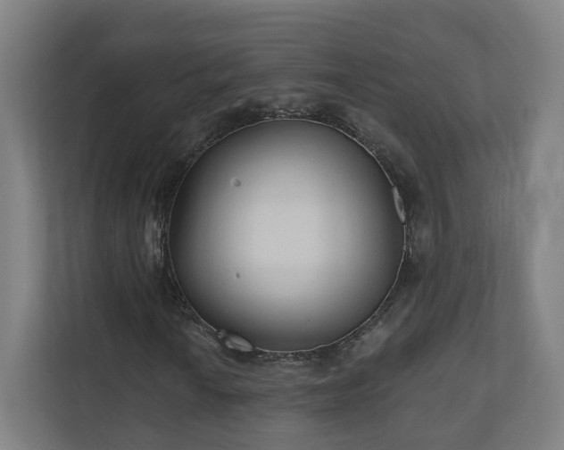 X0000110941010200906191226