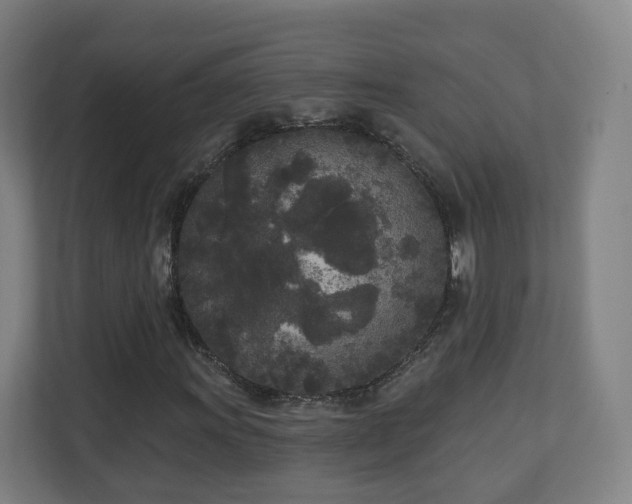 X0000110941011200906191226