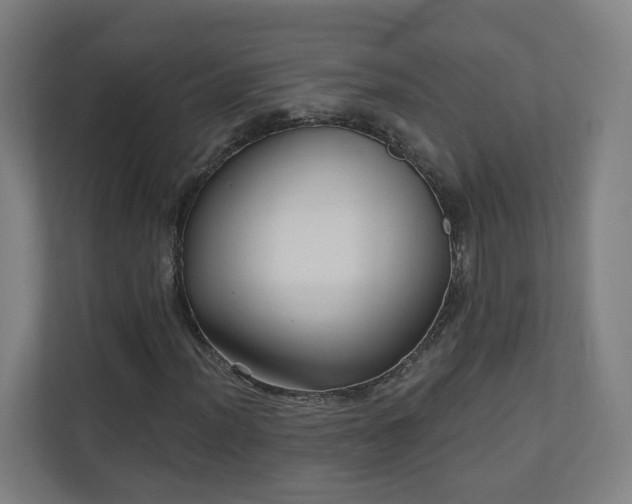 X0000110941012200906191226