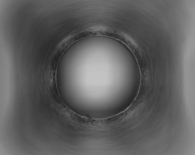 X0000110941016200906191226