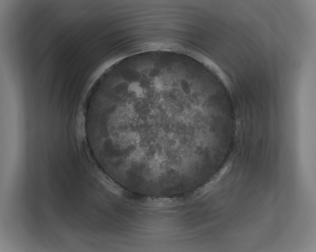 X0000110941019200906191226