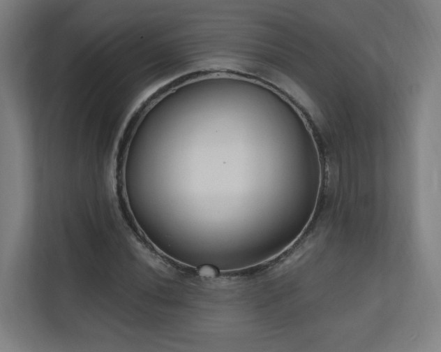 X0000110941020200906191226