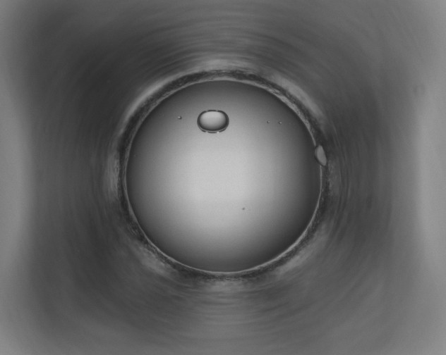 X0000110941021200906191226