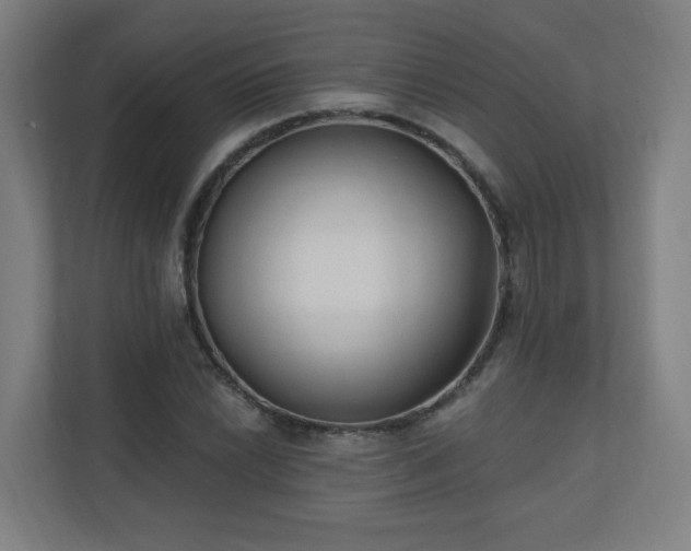 X0000110941022200906191226