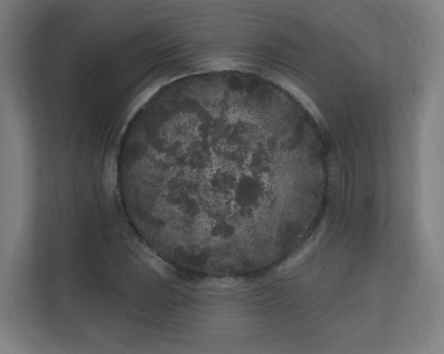 X0000110941023200906191226