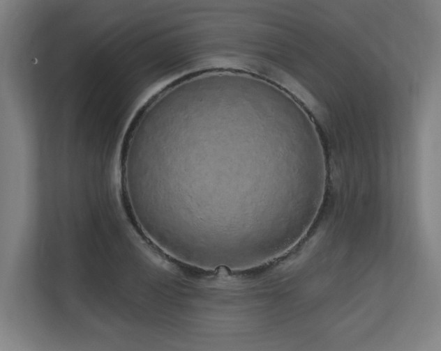 X0000110941028200906191226