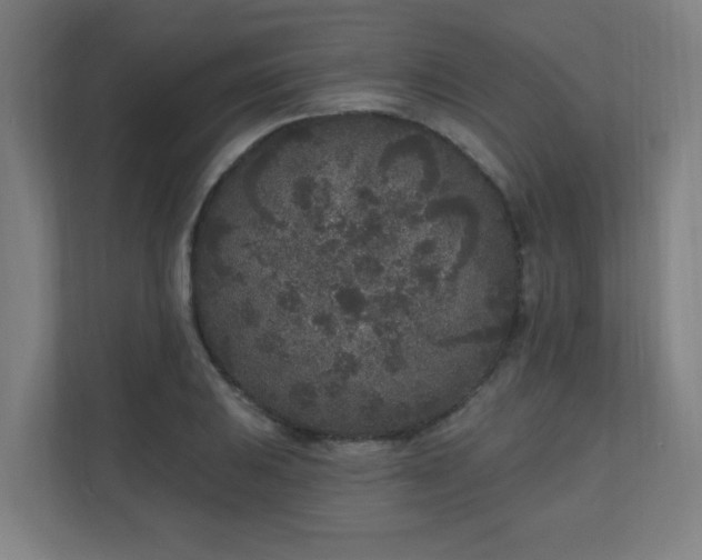 X0000110941031200906191226