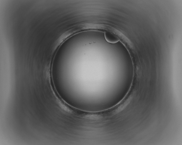 X0000110941033200906191226