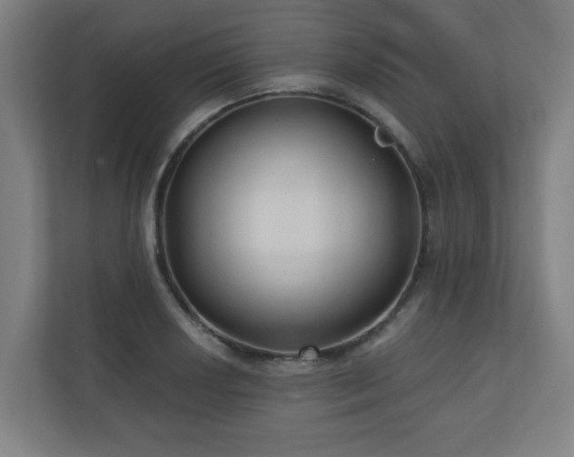 X0000110941034200906191226