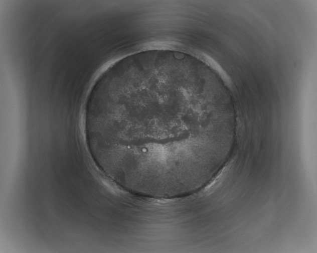 X0000110941035200906191226