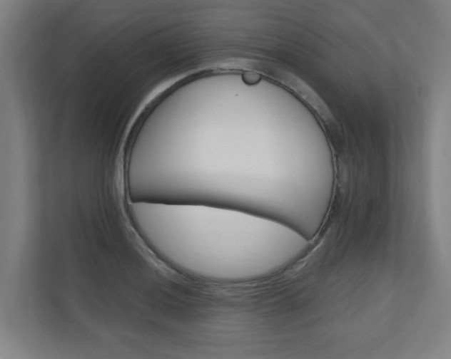 X0000110941036200906191226