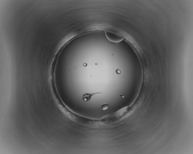 X0000110941042200906191226