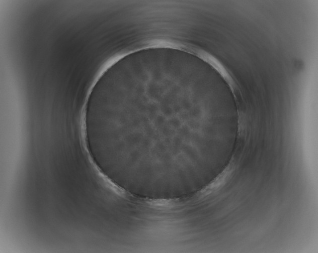 X0000110941048200906191227