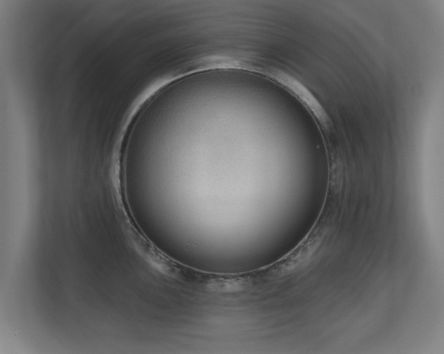 X0000110941051200906191227