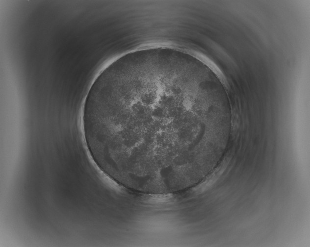 X0000110941055200906191227