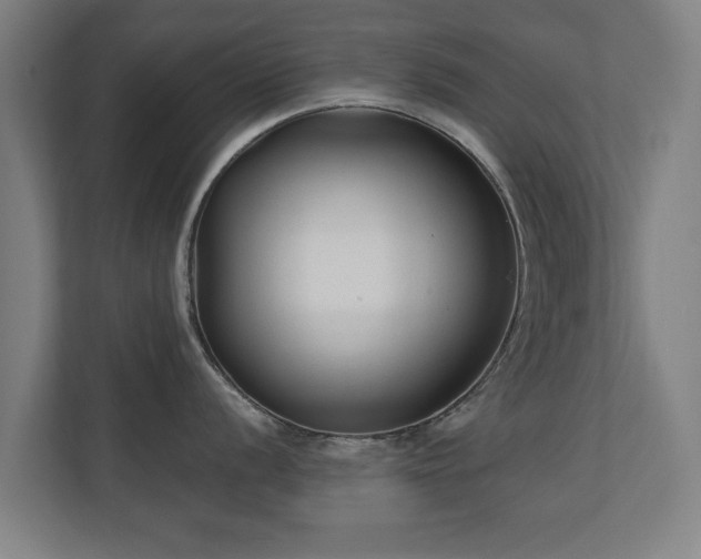 X0000110941056200906191227