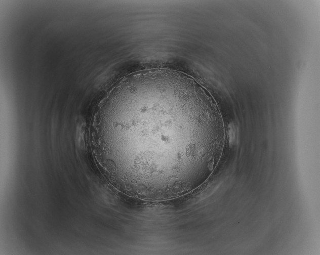 X0000110941059200906191226