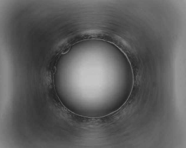 X0000110941062200906191226