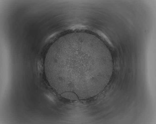 X0000110941063200906191226