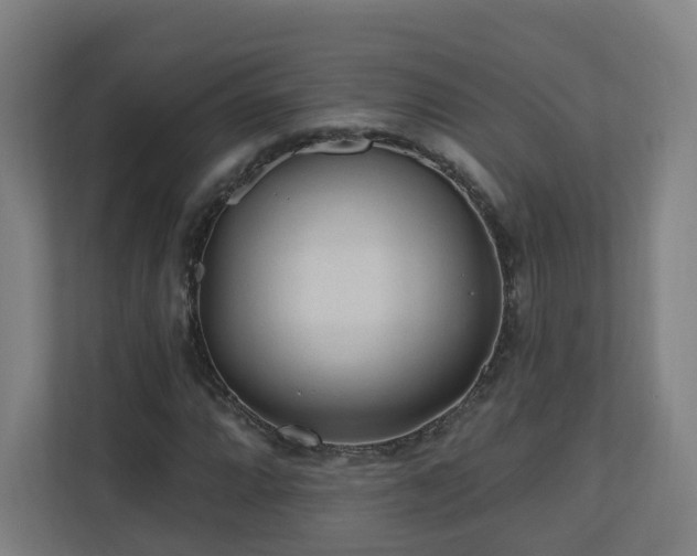 X0000110941064200906191226