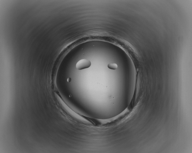 X0000110941065200906191226