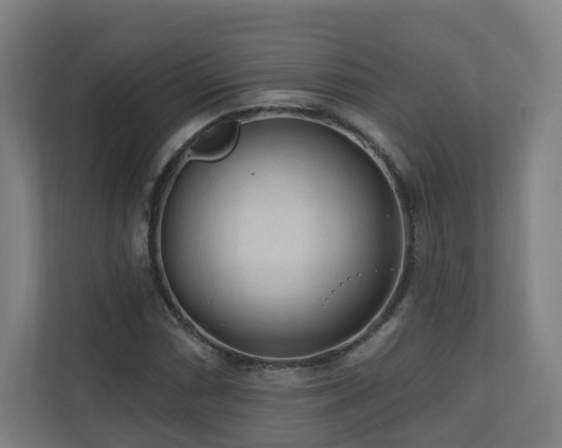 X0000110941066200906191226