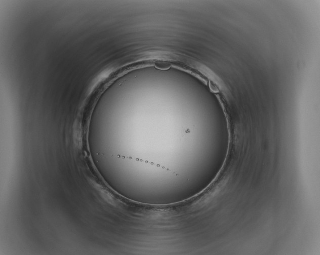 X0000110941067200906191226