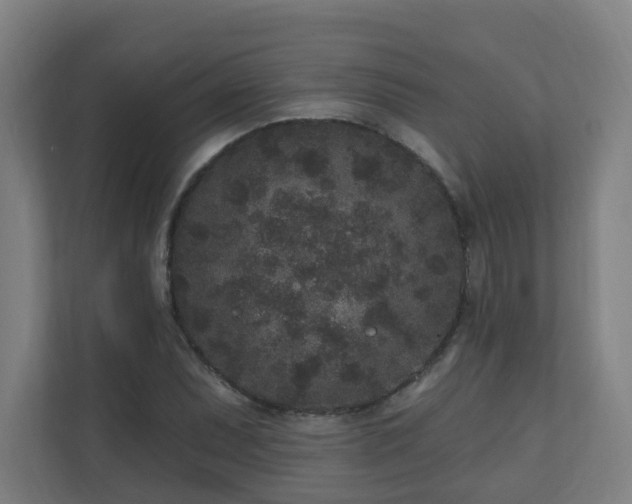 X0000110941071200906191226