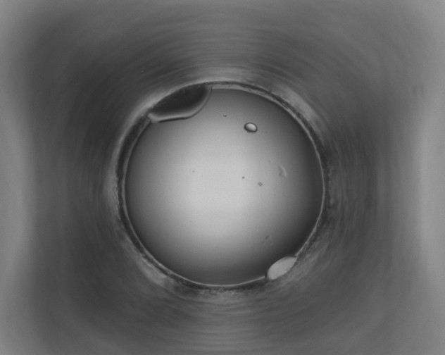 X0000110941072200906191226