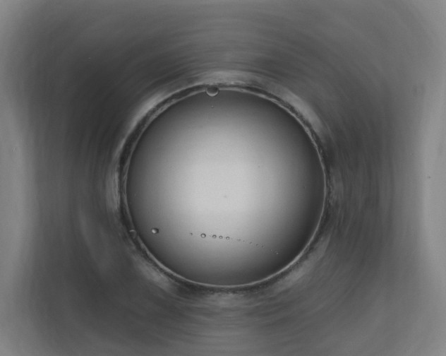 X0000110941075200906191226