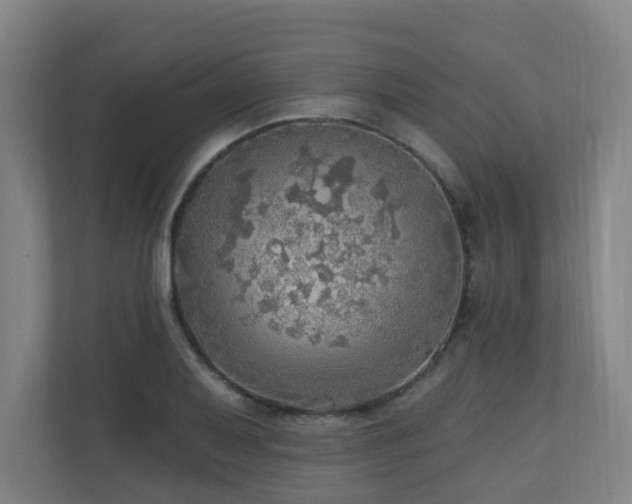 X0000110941079200906191226