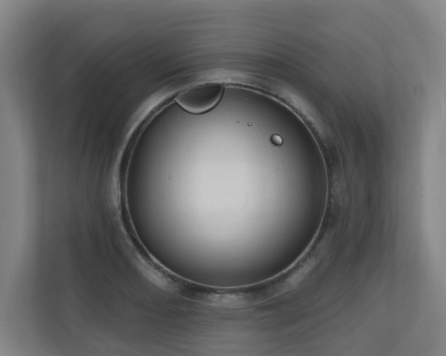 X0000110941082200906191226