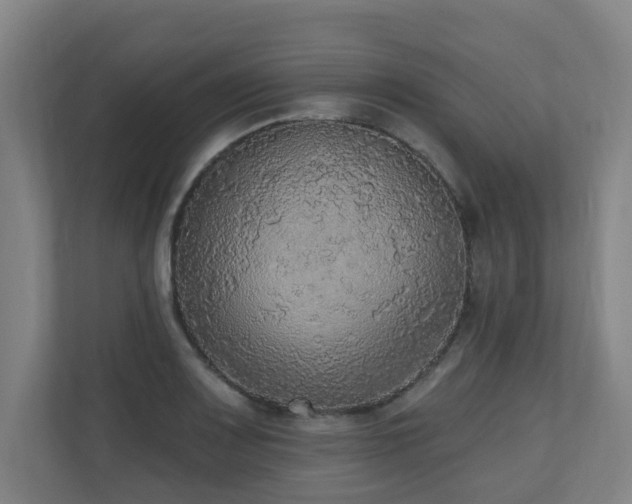 X0000110941083200906191226