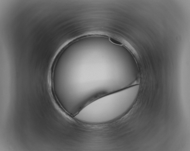 X0000110941084200906191226