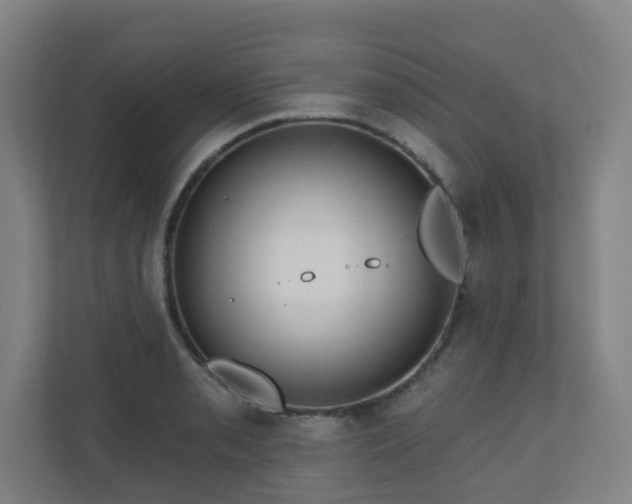 X0000110941085200906191226