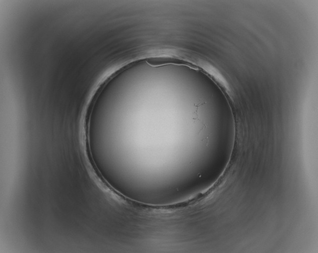 X0000110941088200906191226