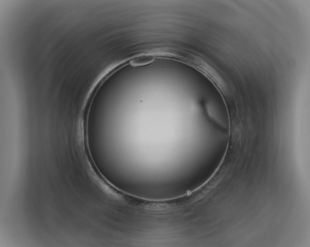 X0000110941092200906191226