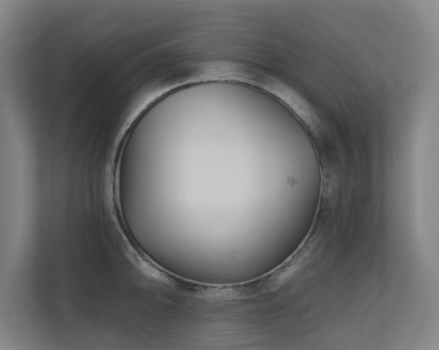 X0000110941094200906191226