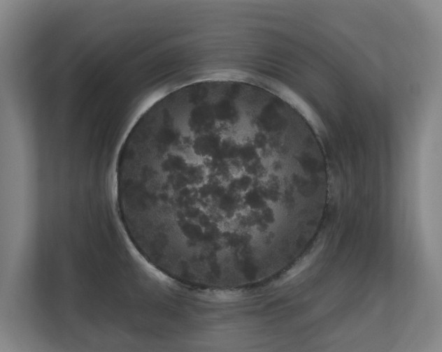 X0000110941095200906191226