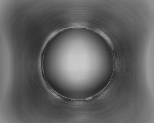 X0000110941096200906191226