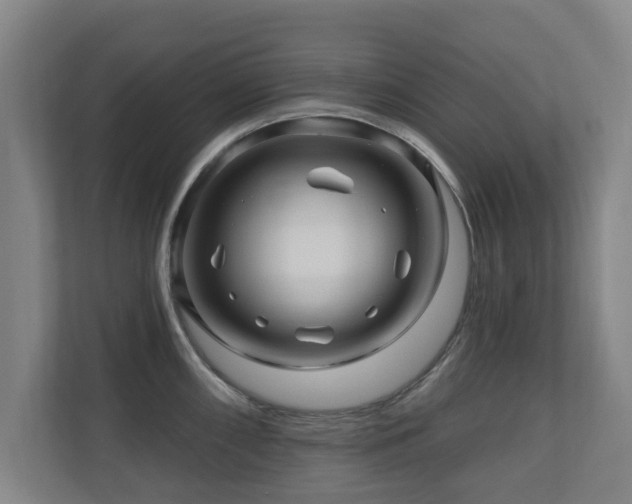 X0000110941098200906191225