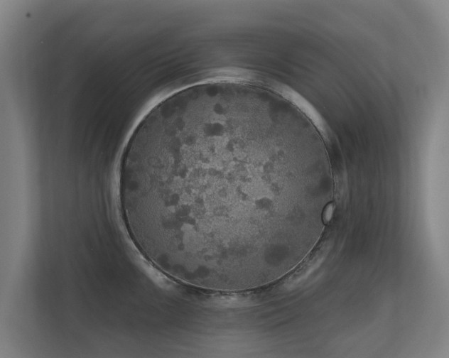 X0000110941099200906191225