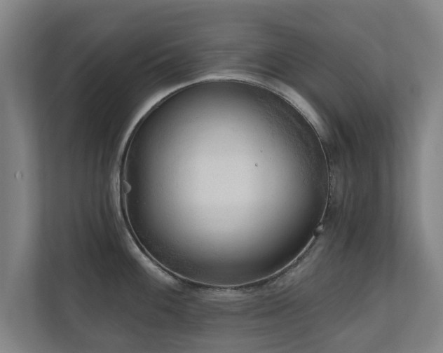 X0000110941100200906191225