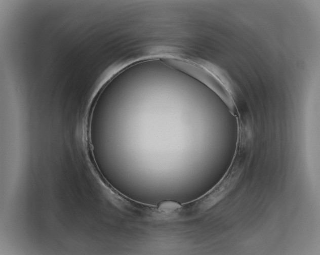 X0000110941101200906191225