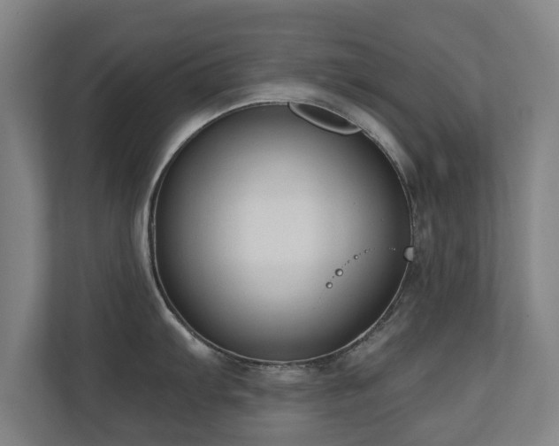 X0000110941103200906191225