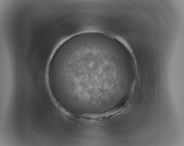 X0000110941104200906191225