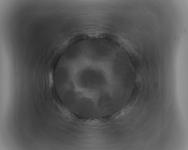 X0000110941106200906191225