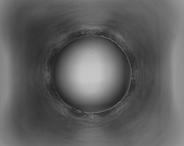 X0000110941109200906191225